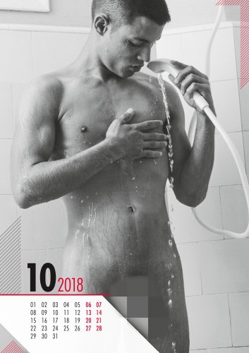 Nástěnný kalendář REAL COCKS 2018