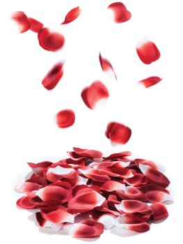 Romantické okvětní lístky růží – Erotické pomůcky pro něžné BDSM