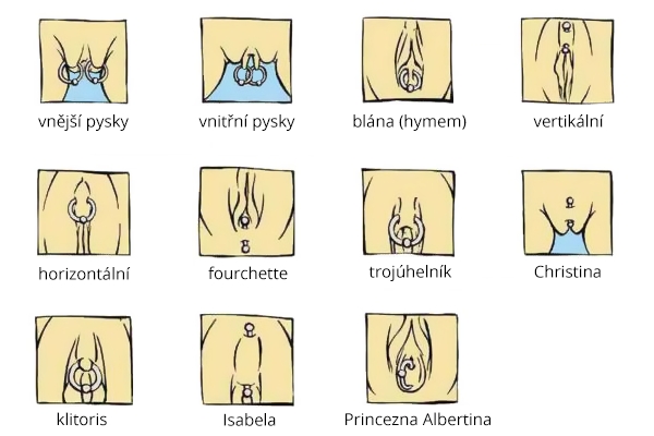 Přehled základních typů dámského piercingu