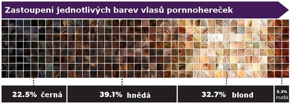Infografika: zastoupení jednotlivých barev vlasů u amerických pornohereček