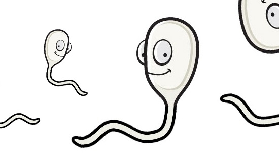 Jak zlepšit kvalitu spermatu?