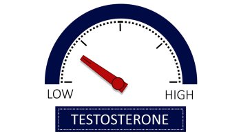 Jak zvýšit testosteron a jak udržet jeho hladinu v rovnováze?