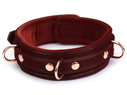 BDSM obojek s vodítkem Metallic Shade