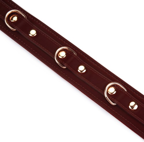 BDSM obojek s vodítkem Metallic Shade