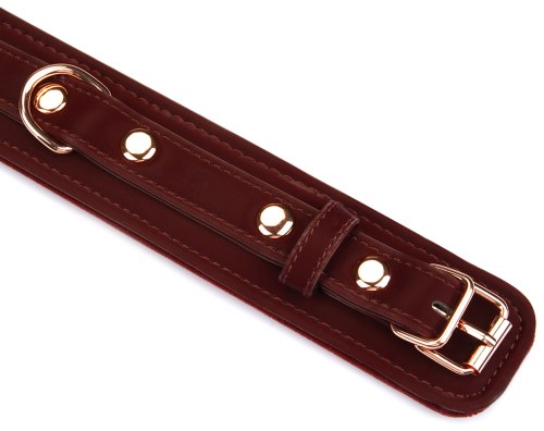 BDSM obojek s vodítkem Metallic Shade