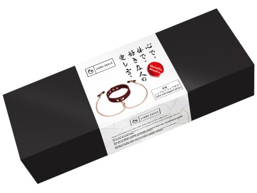 BDSM obojek se svorkami na bradavky Metallic Shade