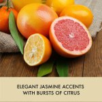 Kosmetická sada pro péči o tělo Baylis & Harding – mandarinka a grapefruit