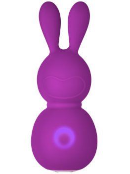 Vibrátor na klitoris Bunny Massager Purple – Vibrátory na klitoris