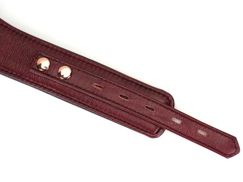 Uzamykatelný kožený obojek s vodítkem Wine Red