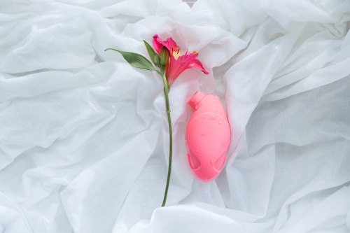 Stimulátor klitorisu Fantasy Colibri