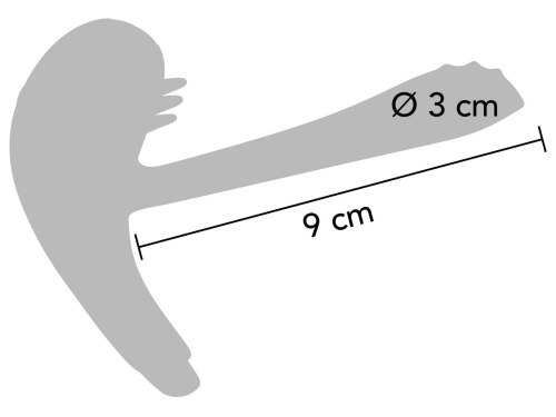 Párový vibrátor s kroužkem na penis Passionate Joy Stick