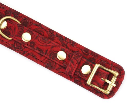 Kožený obojek s vodítkem Red Rosy