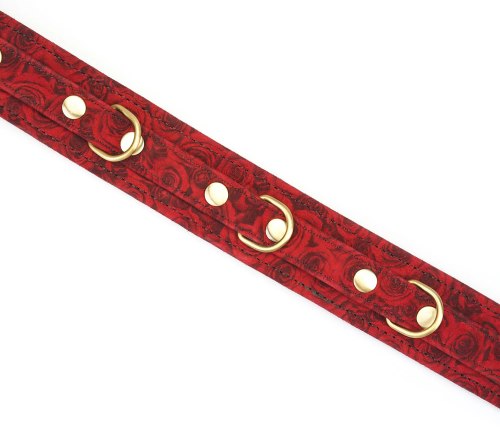 Kožený obojek s vodítkem Red Rosy
