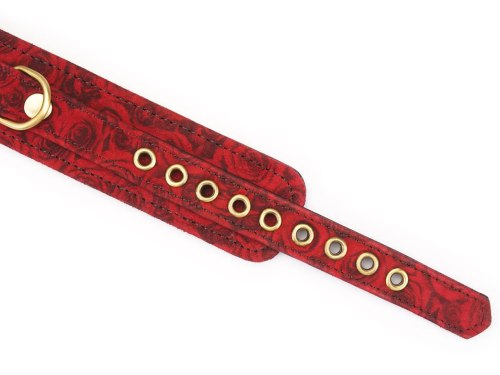 Kožený obojek s vodítkem Red Rosy