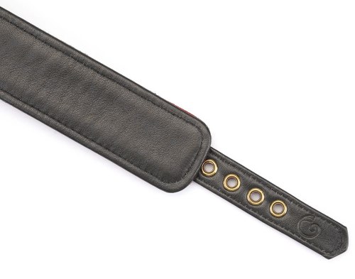 Kožený obojek s vodítkem Red Rosy