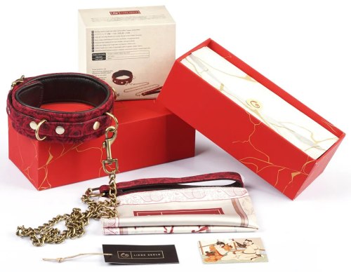 Kožený obojek s vodítkem Red Rosy