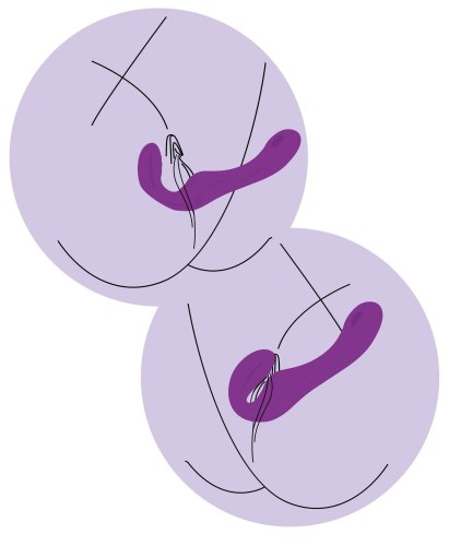 Pulzační a vibrační samodržící strapon