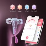 Nafukovací a vibrační vaginální činka PUFF