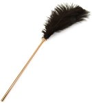 Bondage sada Taboom Tease, 4 ks