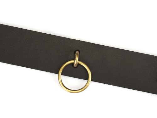 Kožený obojek s vodítkem Samurai