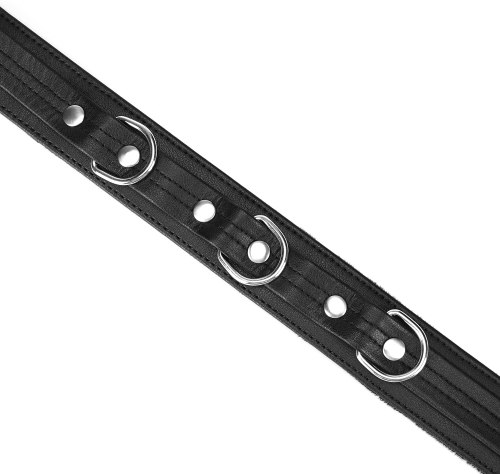 Obojek a vodítko z recyklované kůže Black Bond