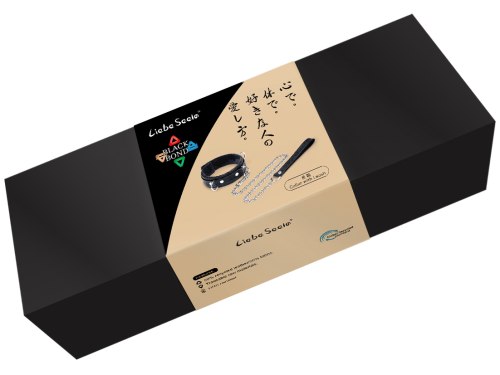 Obojek a vodítko z recyklované kůže Black Bond