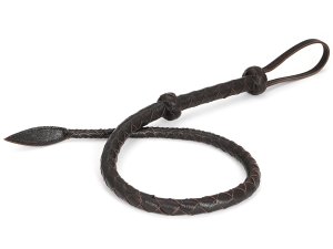 Kožený erotický bič Wild Gent – Biče a bičíky na spanking