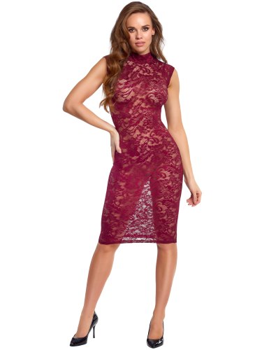 Krajkové šaty se stojacím límečkem Cottelli