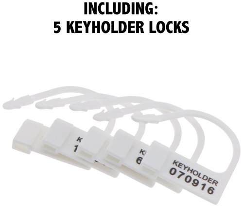 Klec na penis s elektrostimulací Hidden Desire