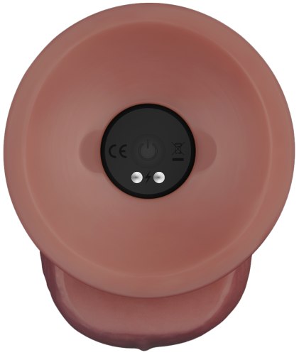 Realistický vibrátor s přísavkou Power Cock 8,5"