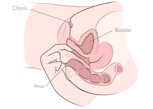 Prstění vaginy zezadu