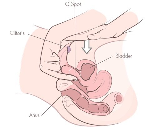 Prstění vaginy