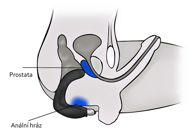 Díky zakřivení vibrátoru je prostata stimulována nejvíce jak to jen jde