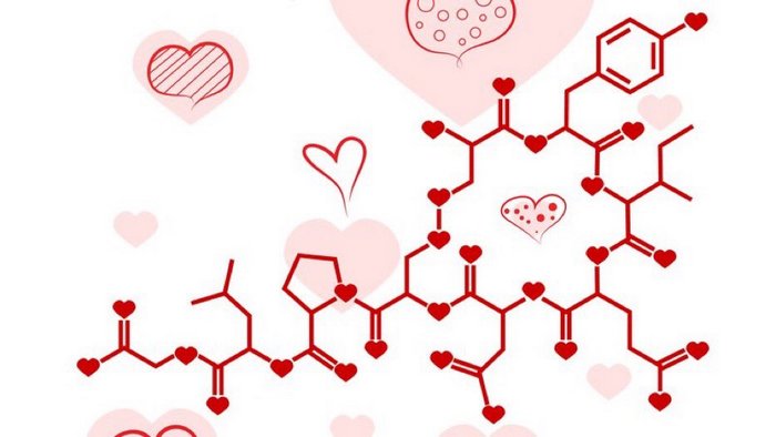 oxytocin, hormon lásky