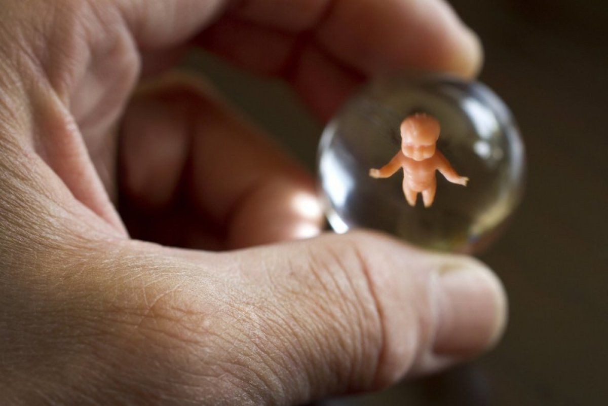 samovolný potrat - dítě ve vajíčku