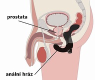 Masáž prostaty vibrátorem - návod k použití