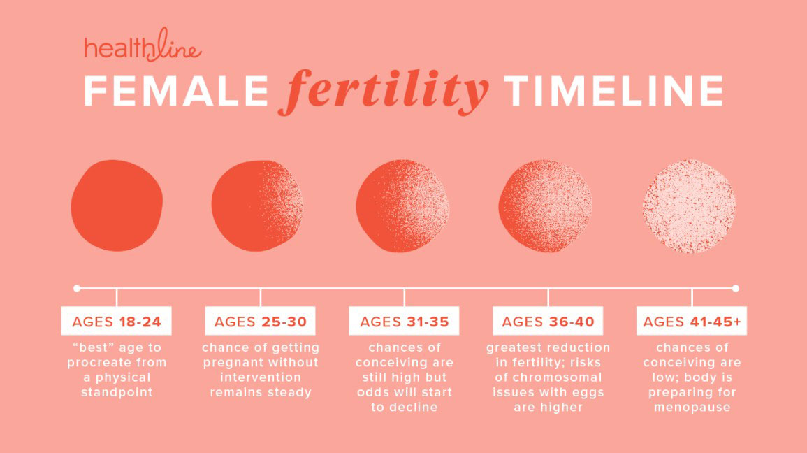Cyklus ženské plodnosti